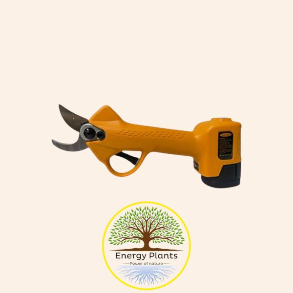 IDEALSTAR - FORBICE DA POTA A BATTERIA C25