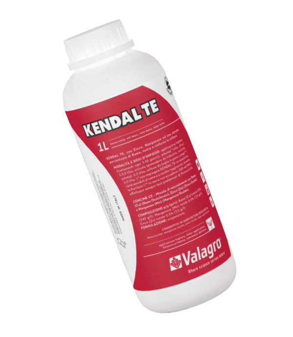 Kendal TE x lt 1